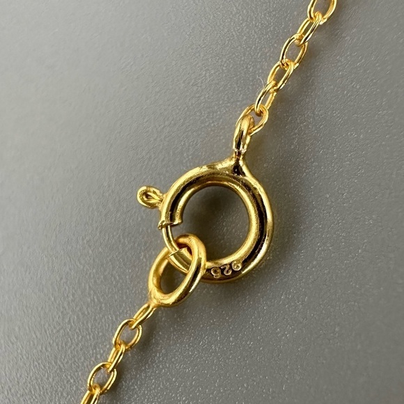 14k Gold Vermeil Star Necklace - Picture 5 of 9